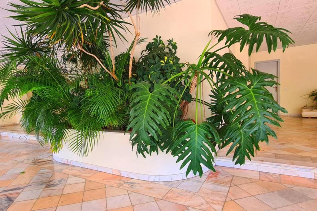 Comfort Zone Beach Apartment Quarteira Exterior photo
